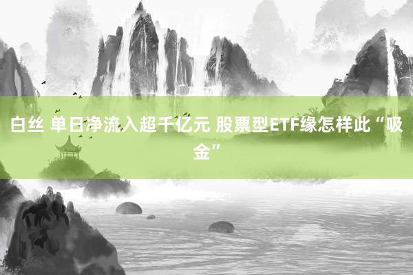 白丝 单日净流入超千亿元 股票型ETF缘怎样此“吸金”