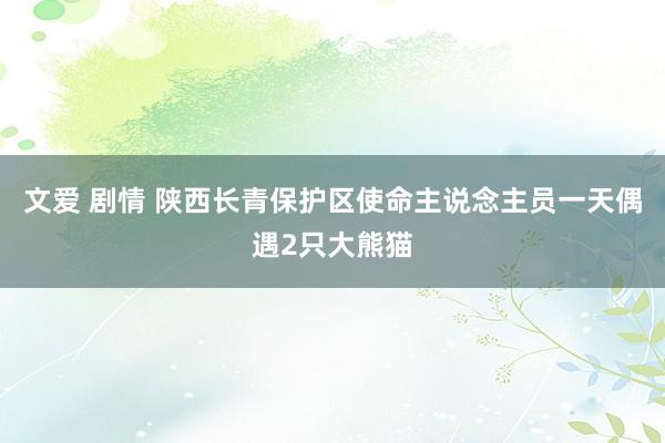文爱 剧情 陕西长青保护区使命主说念主员一天偶遇2只大熊猫