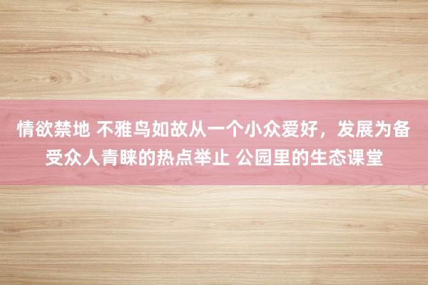 情欲禁地 不雅鸟如故从一个小众爱好，发展为备受众人青睐的热点举止 公园里的生态课堂