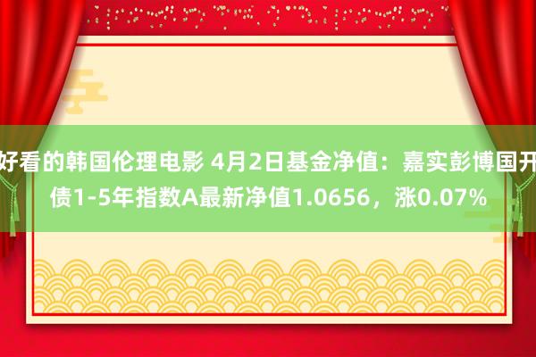 好看的韩国伦理电影 4月2日基金净值：嘉实彭博国开债1-5年指数A最新净值1.0656，涨0.07%