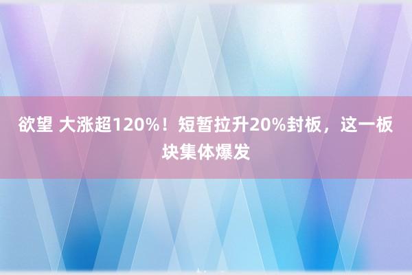 欲望 大涨超120%！短暂拉升20%封板，这一板块集体爆发