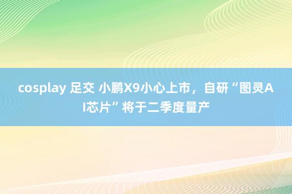 cosplay 足交 小鹏X9小心上市，自研“图灵AI芯片”将于二季度量产