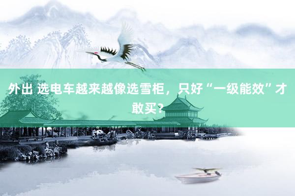 外出 选电车越来越像选雪柜，只好“一级能效”才敢买？