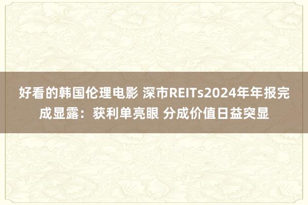 好看的韩国伦理电影 深市REITs2024年年报完成显露：获利单亮眼 分成价值日益突显