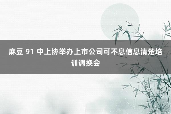 麻豆 91 中上协举办上市公司可不息信息清楚培训调换会