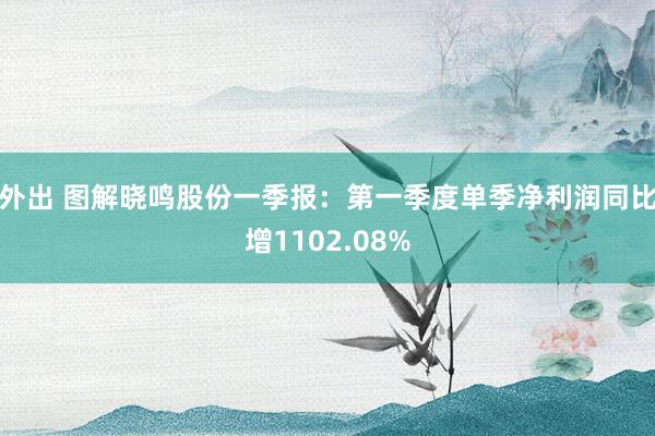 外出 图解晓鸣股份一季报：第一季度单季净利润同比增1102.08%