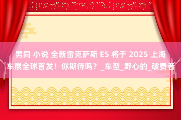 男同 小说 全新雷克萨斯 ES 将于 2025 上海车展全球首发！你期待吗？_车型_野心的_破费者