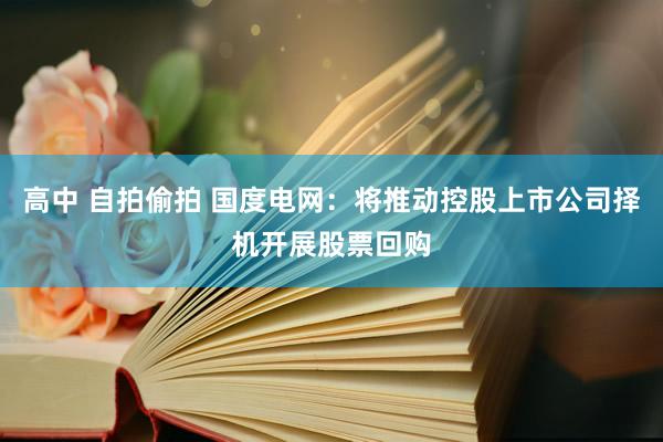 高中 自拍偷拍 国度电网：将推动控股上市公司择机开展股票回购