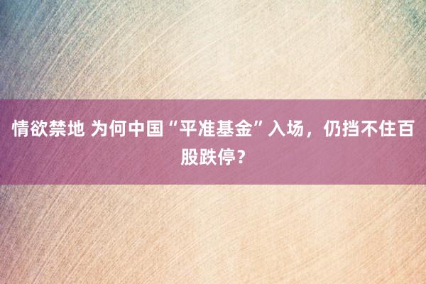 情欲禁地 为何中国“平准基金”入场，仍挡不住百股跌停？