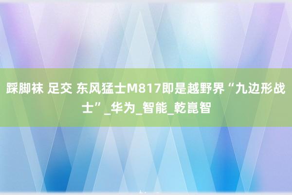 踩脚袜 足交 东风猛士M817即是越野界“九边形战士”_华为_智能_乾崑智