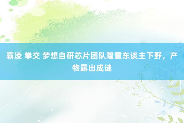 霸凌 拳交 梦想自研芯片团队隆重东谈主下野，产物露出成谜