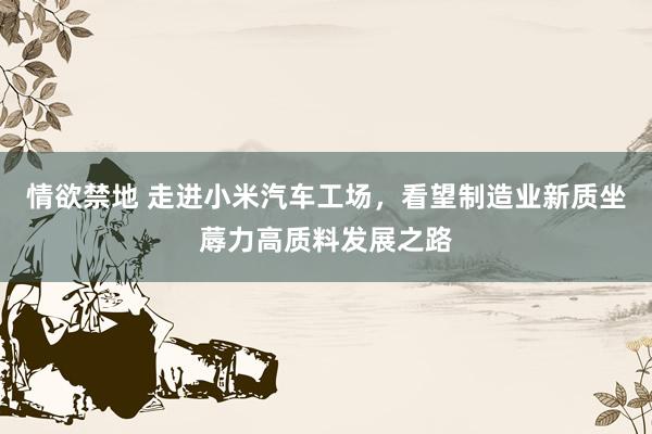 情欲禁地 走进小米汽车工场，看望制造业新质坐蓐力高质料发展之路